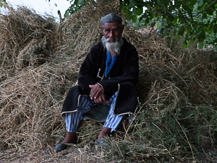Beobachtet den Zeltaufbau - Uzbekistan